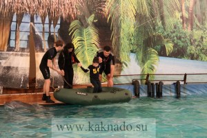 новый дельфинарий в москве