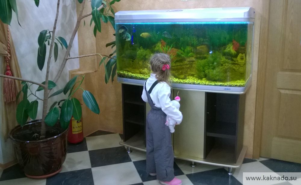 аквариум в ресторане