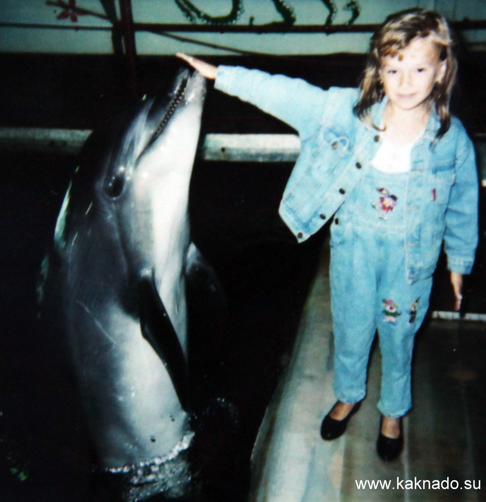 девочка с дельфином