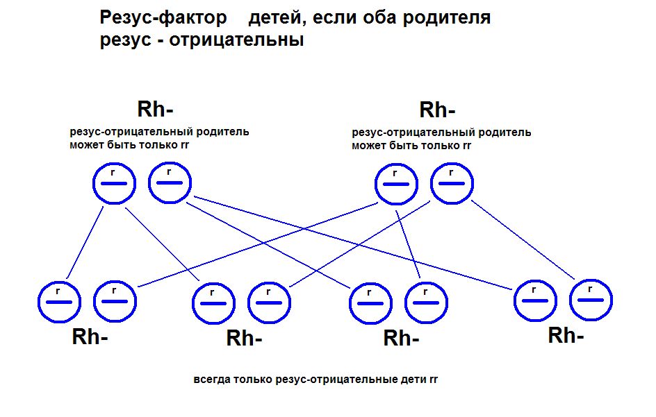 Группы крови (Ab0, резус-фактор)